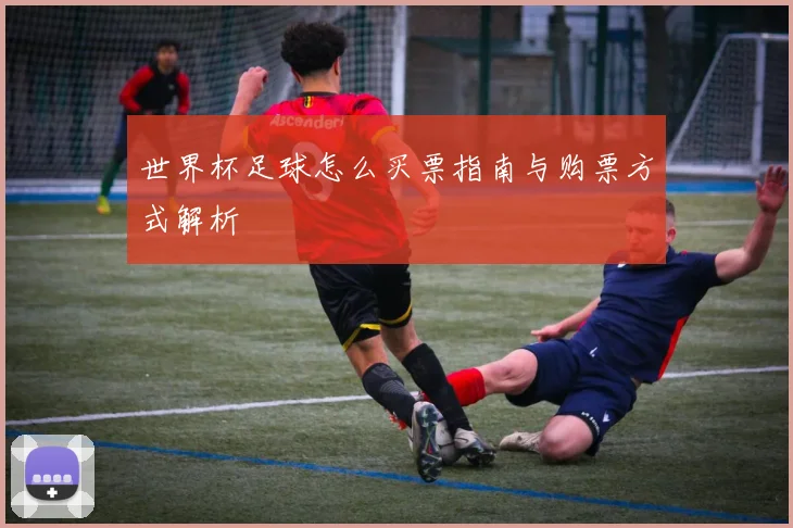 世界杯足球怎么买票指南与购票方式解析